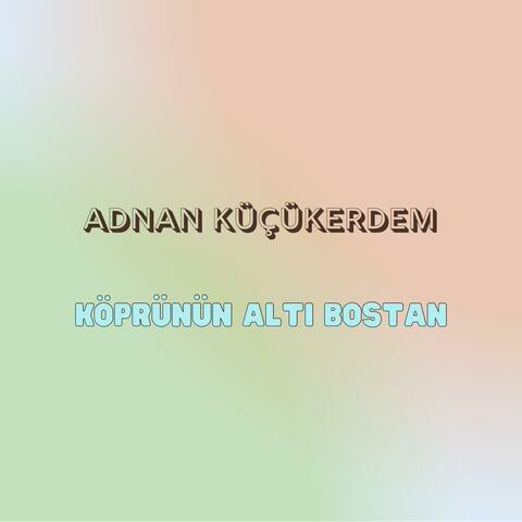 Köprünün Altı Bostan