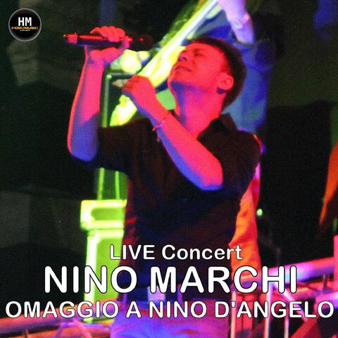 Nino marchi live concert