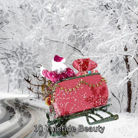 10 Yuletide Beauty