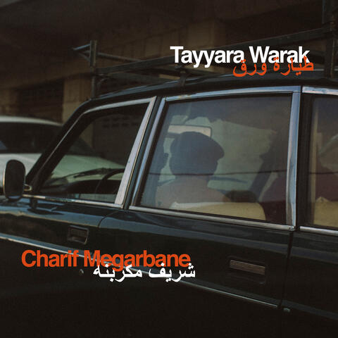 Charif Megarbane