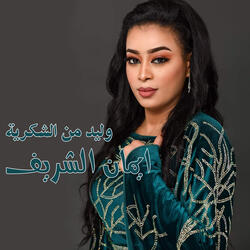 وليد من الشكرية