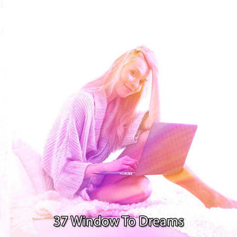 37 Window To Dreams