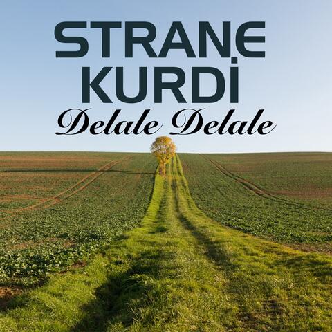 Delale Delale