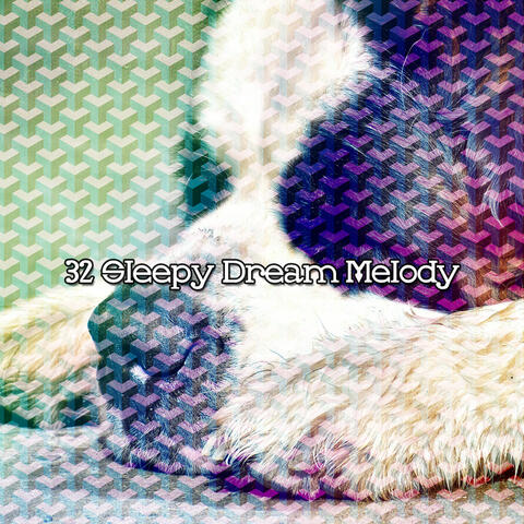 32 Sleepy Dream Melody