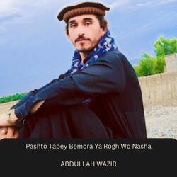 Pashto Tapey Bemora Ya Rogh Wo Nasha