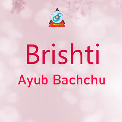 Brishti