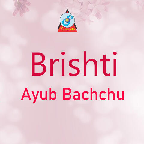 Brishti