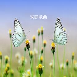 安静歌曲