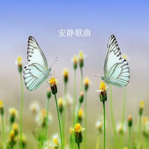 安静歌曲