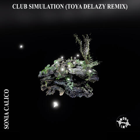 Club Simulation