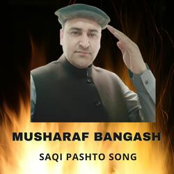 Saqi Pashto Song