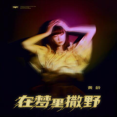 在梦里撒野