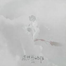 还想感动谁