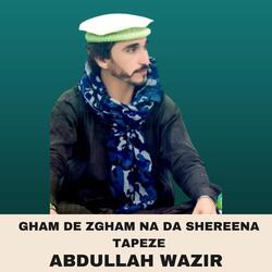 Gham De Zgham Na Da Shereena Tapeze