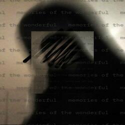 memories of the wonderful
