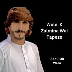 Wele K Zalmina Wai Tapeze