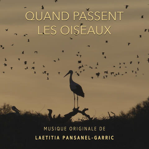 Quand passent les oiseaux