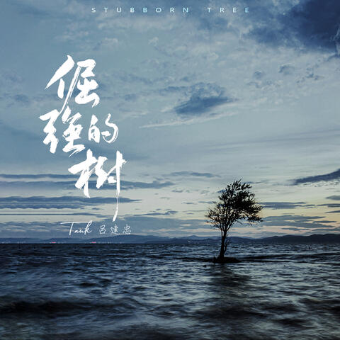 倔強的樹