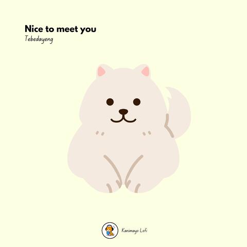 Nice to meet you