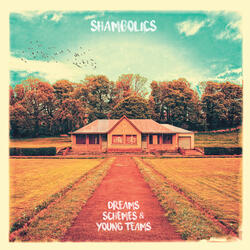 Dreams, Schemes & Young Teams