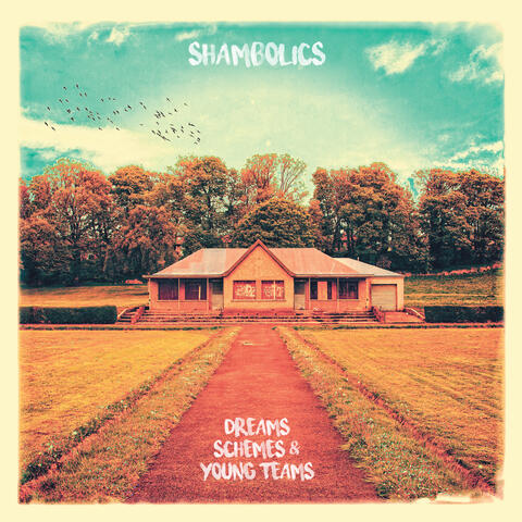 Dreams, Schemes & Young Teams