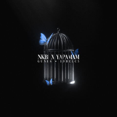 NKBİ X YAPAMAM