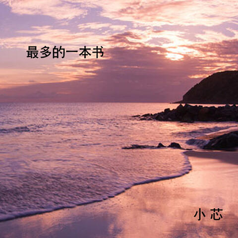 最多的一本书