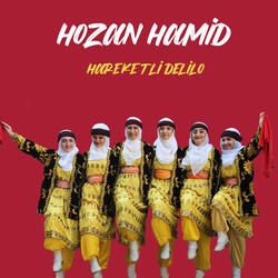 Hareketli Delilo