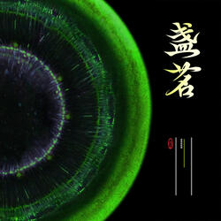 盏茗