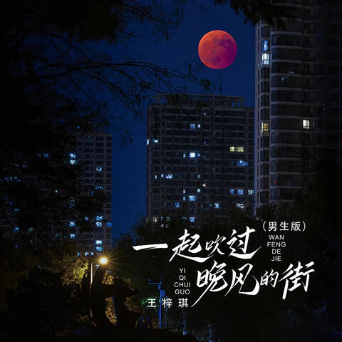 一起吹过晚风的街