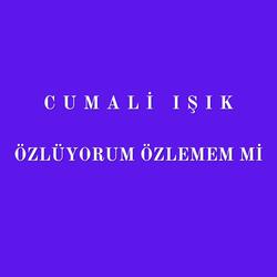 Özlüyorum Özlemem Mi