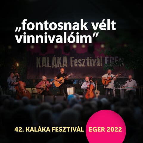 fontosnak vélt vinnivalóim