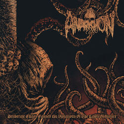 Deliberate Chaos Caused By Violations Of The Laws Of Nature