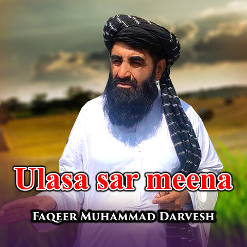 Ulasa Sar Meena