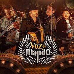Comandos del M.P
