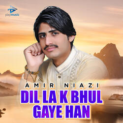 Dil La K Bhul Gaye Han