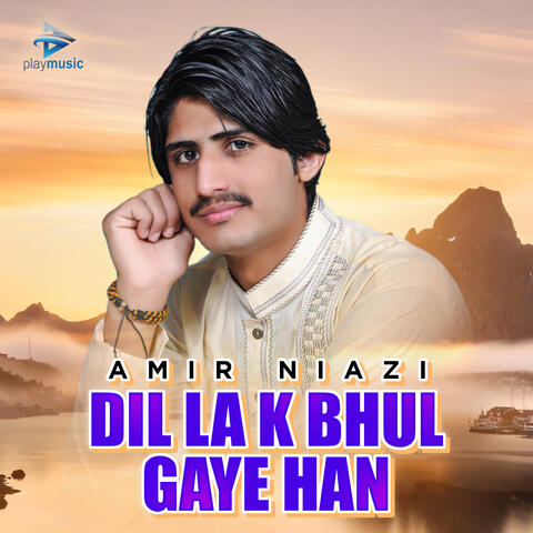 Dil La K Bhul Gaye Han