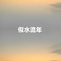似水流年