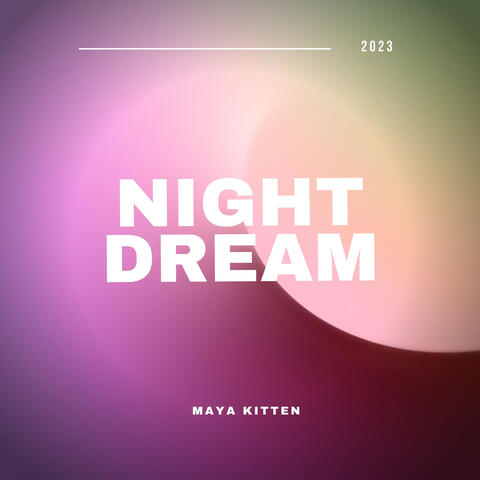 Night Dream