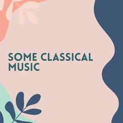 Piano Sonata No. 9 in a minor, KV 310 (E 300d) (1778)