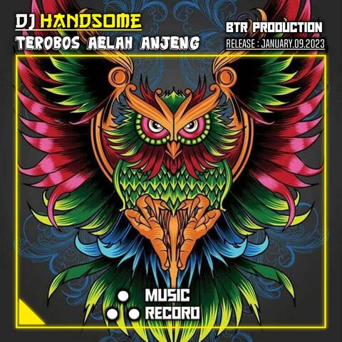 DJ HANDSOME