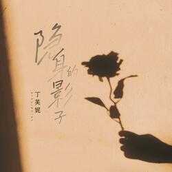 隐身的影子