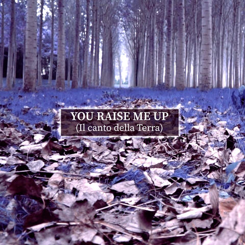 You Raise Me Up (Il canto della Terra)