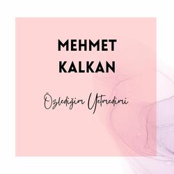 Özlediğim Yetmedimi
