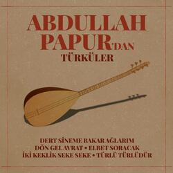 Türlü Türlüdür