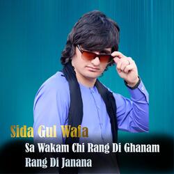 Sa Wakam Chi Rang Di Ghanam Rang Di Janana