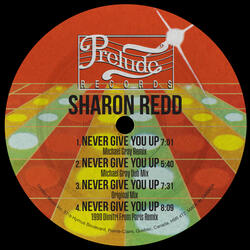 Never Give You Up