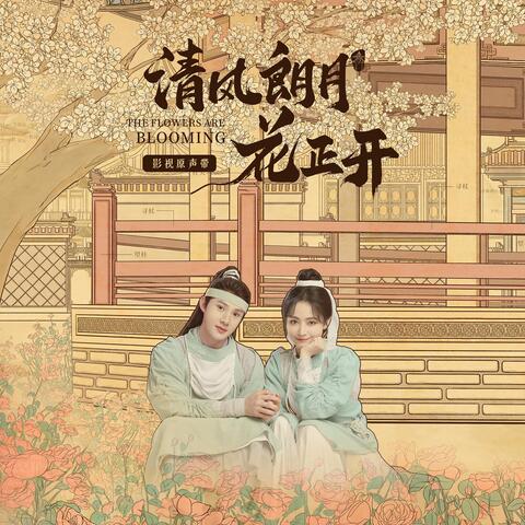 清风朗月花正开《影视原声带》