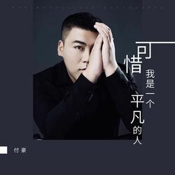 可惜我是一个平凡的人