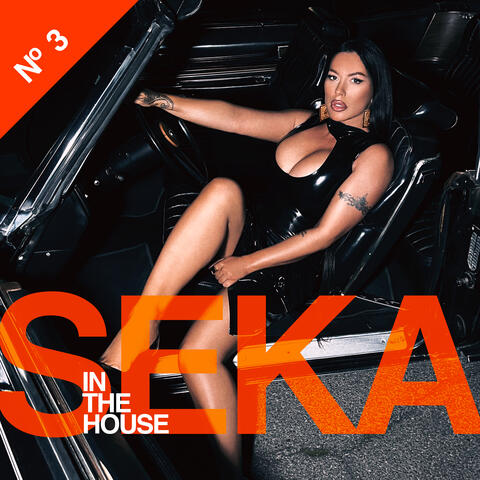 Seka in the house 3